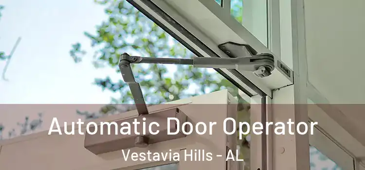 Automatic Door Operator Vestavia Hills - AL