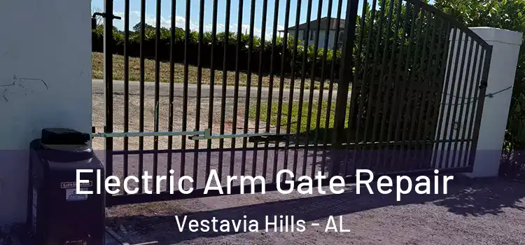 Electric Arm Gate Repair Vestavia Hills - AL