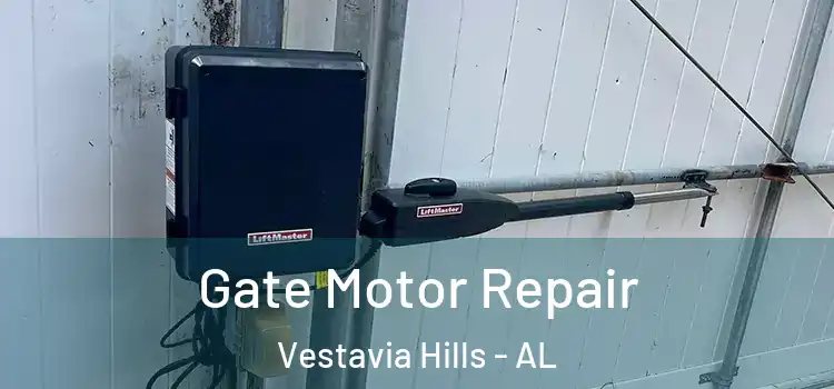 Gate Motor Repair Vestavia Hills - AL