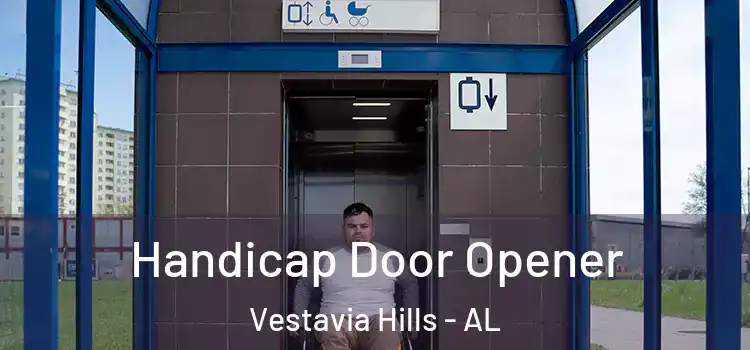 Handicap Door Opener Vestavia Hills - AL